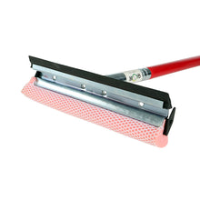 Globe Commercial Products
        
        Auto Windshield Squeegee - Double-Sided, Wide With 22" Long Handle, 4105